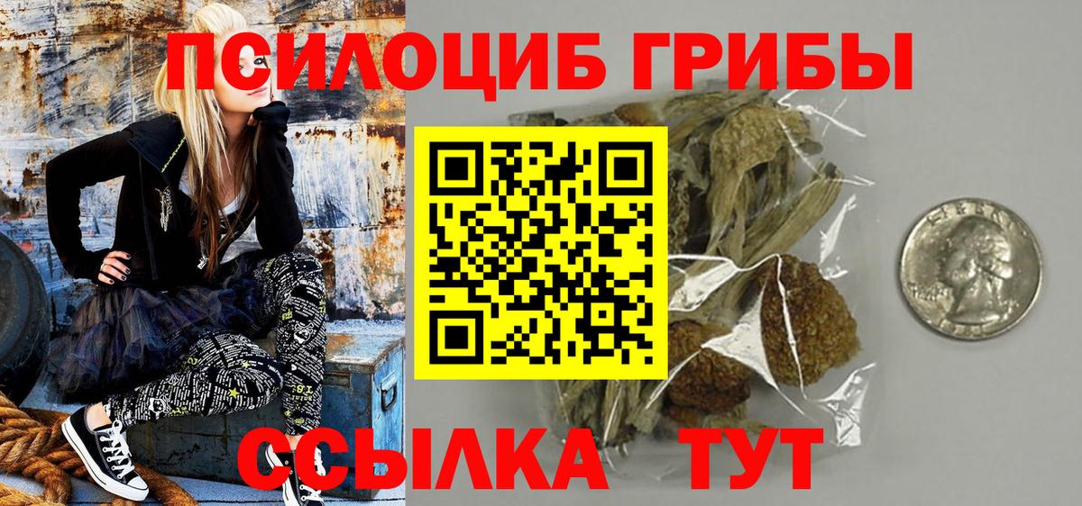 Псилоцибиновые грибы Cubensis Сызрань